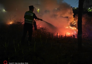 宗保公司員工成功撲滅一起綠化帶火情